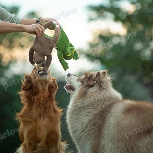 Squeaky Disk & Built-in Rope Dog Plush Toy for Dogs of All Breeds (Sloth) – view 3