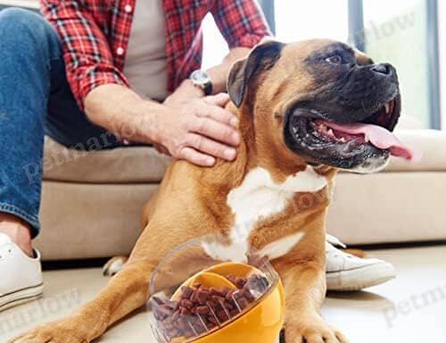 Squeaky Puppy Puzzle Toy for Boredom Slow Feeder – view 6