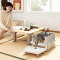 Stainless Steel Cat Litter Box with Litter Scoop