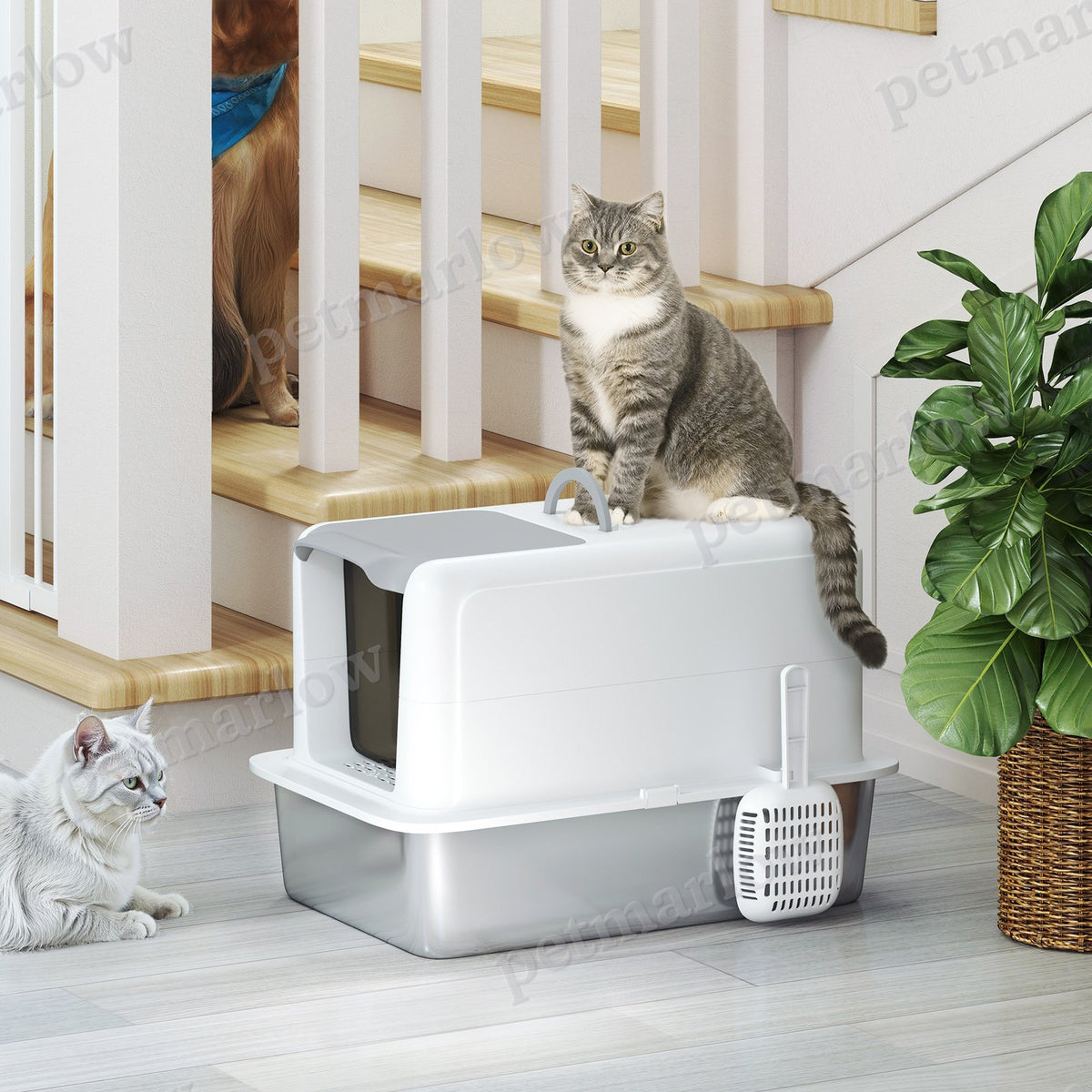Stainless Steel Cat Litter Box with Removable Lid and Scoop – view 4