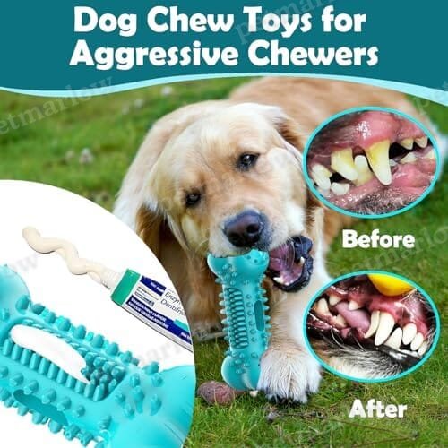 Stick Bone for Dog Teeth Cleaning – view 2