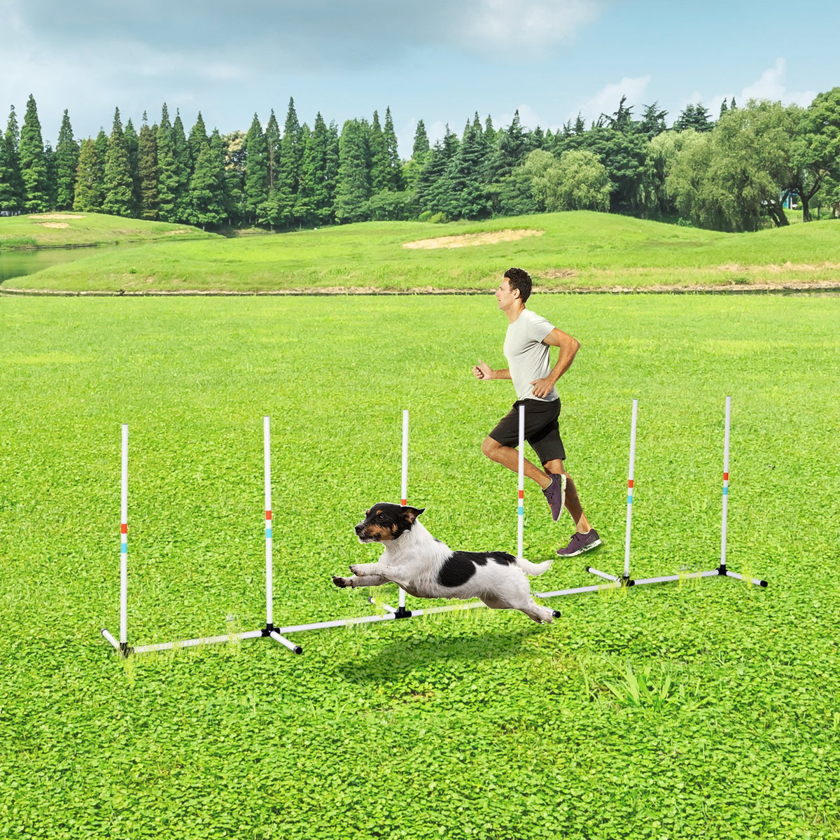 Sturdy Dog Weave Poles Agility Equipment