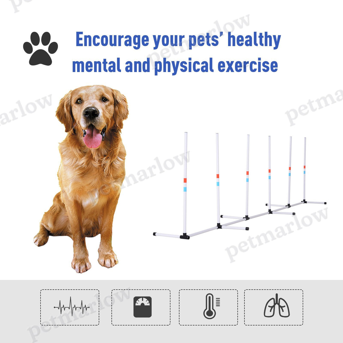 Sturdy Dog Weave Poles Agility Equipment – view 3
