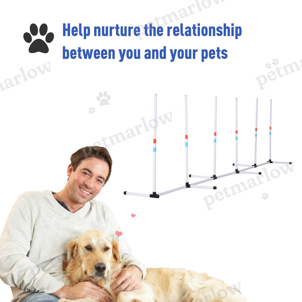 Sturdy Dog Weave Poles Agility Equipment – view 5