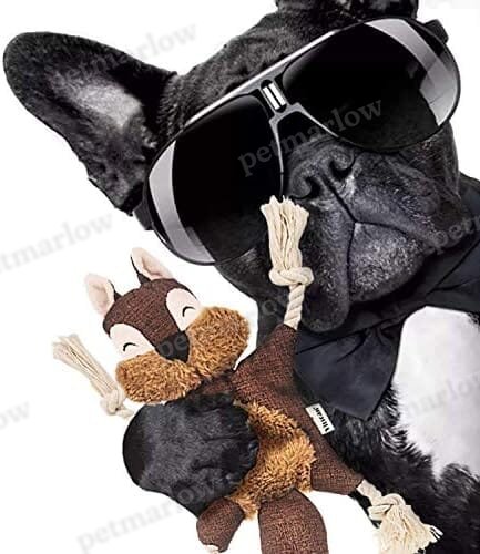 Sturdy Squirrel Interactive Pet Toy Rope Knots Puppy Chew Teething Toys – view 6