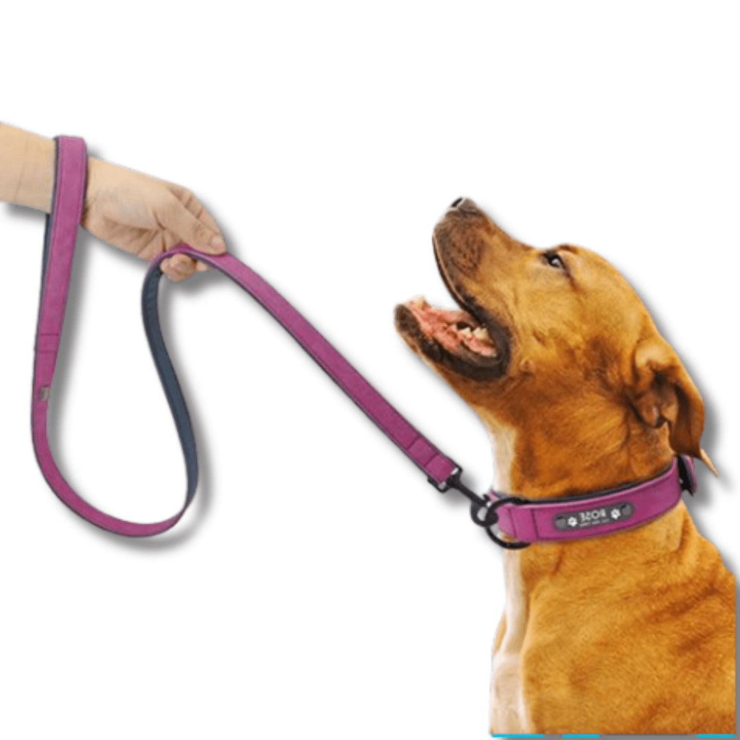 Stylish Custom Collar and Leash Set