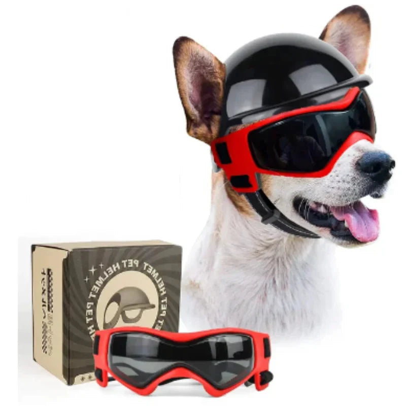 Stylish Dog Helmet with Goggles – Red / S