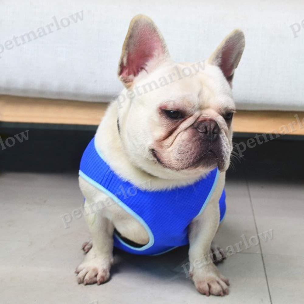 Summer Cooling Vest – view 3