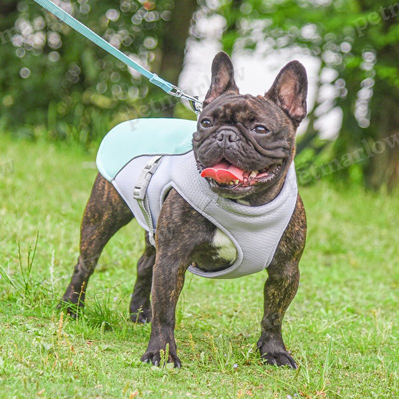 Summer Pet Outdoor Breathable Cooling Vest – view 6