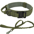 Tactical Collar and Leash Set – Army Green set / L