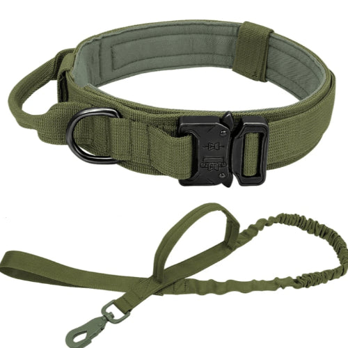 Tactical Collar and Leash Set – Army Green set / L