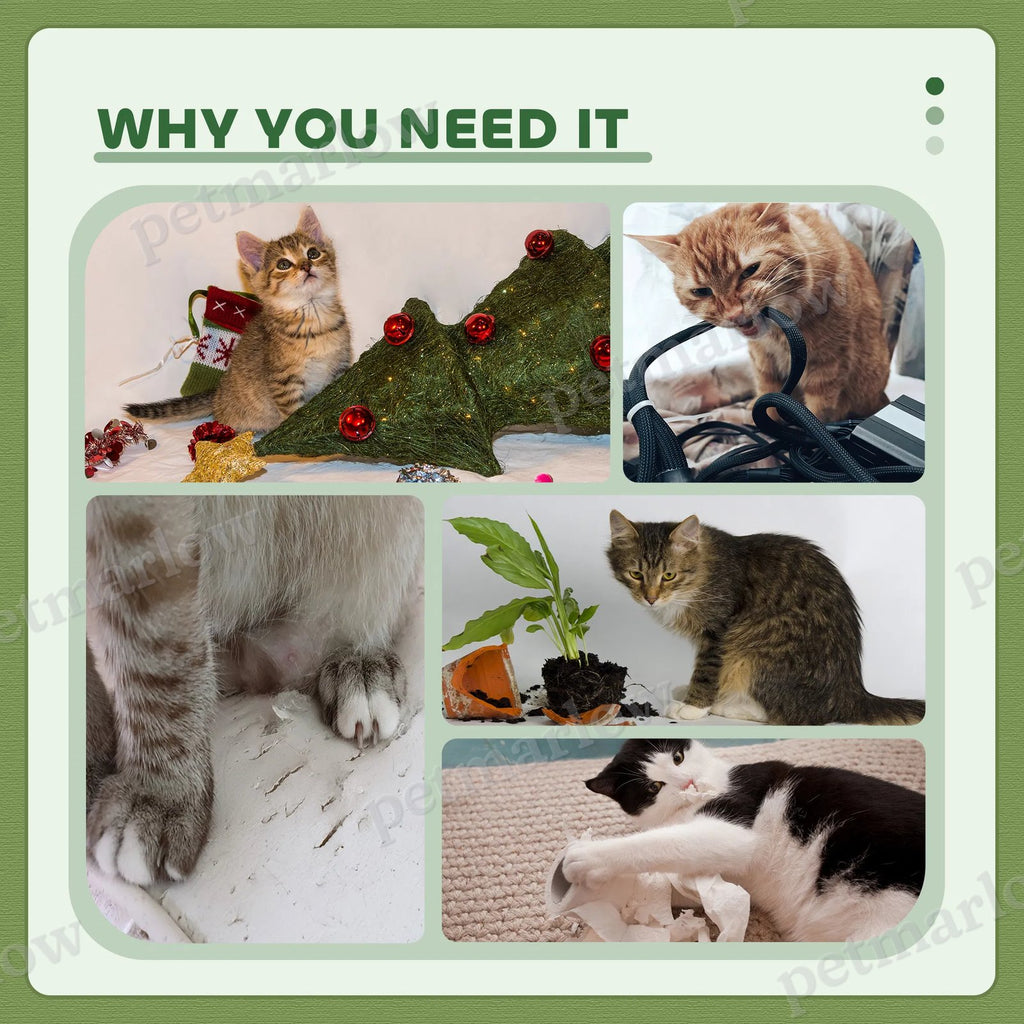 Tall Cat Tree Tower with Condo, Ladder and Scratching Posts – view 6