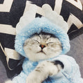 Teddy Bear Cat Hoodies – Baby Blue Wings / XS