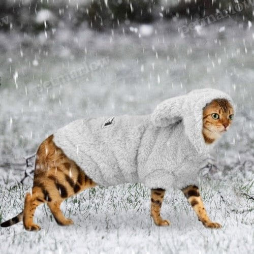 Teddy Fluffy Jacket – view 4