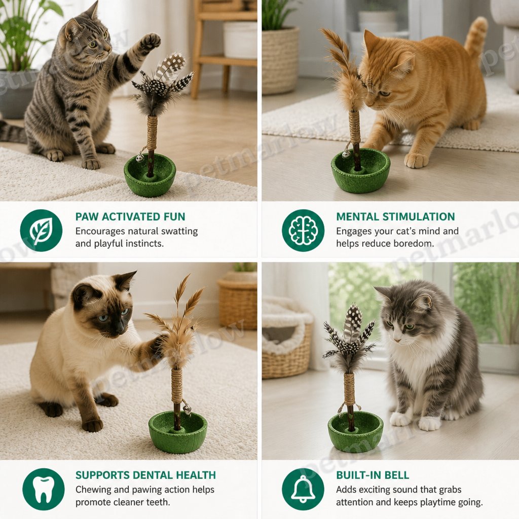 Teeth Cleaning Catnip Tumbler Cat Toy – Interactive Feather Teaser with Bell – view 6