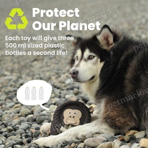 Toss and Throw Tug Toy, Eco-Friendly Indestructible Dog Toys – view 3