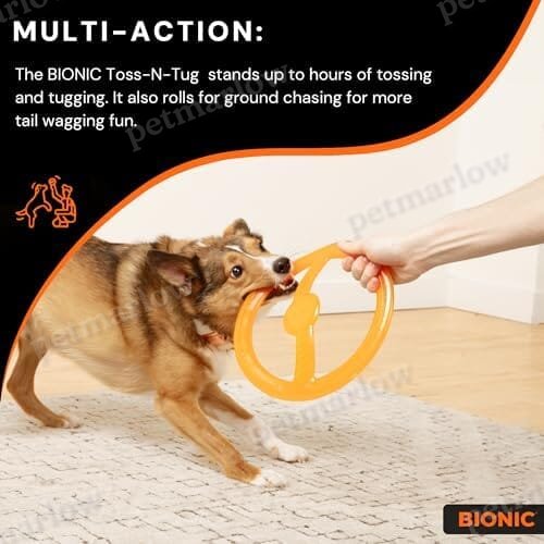 Toss-N-Tug Dog Toy - High-Visibility Ultimate Multi-Action Dog Toy – view 4