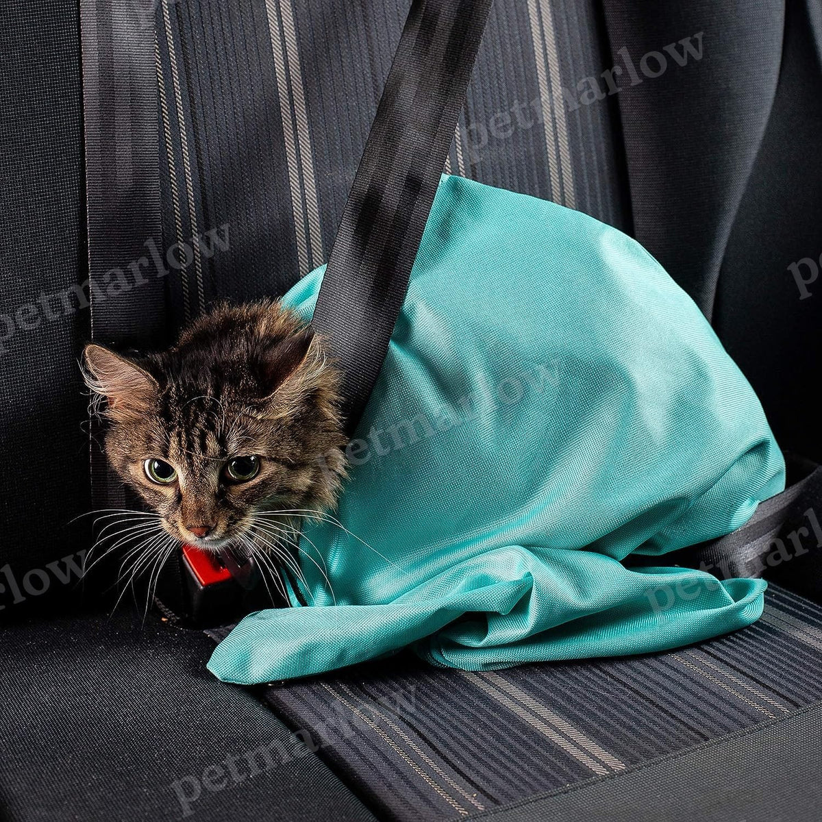 Tote Style Cat Shoulder Bag – view 5