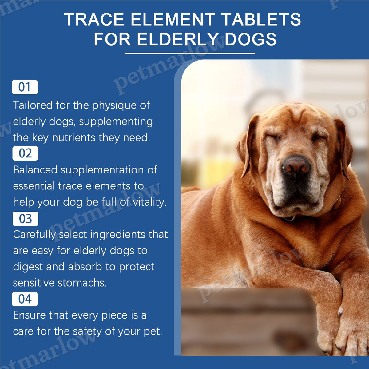 Trace Element Tablets for Senior Dogs, Multimineral Supplement – view 3