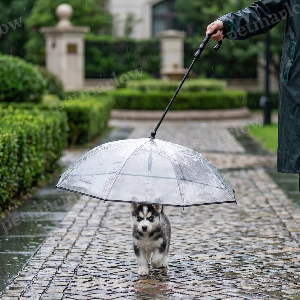 Transparent Dog Umbrella with Leash for Small Dogs – view 2