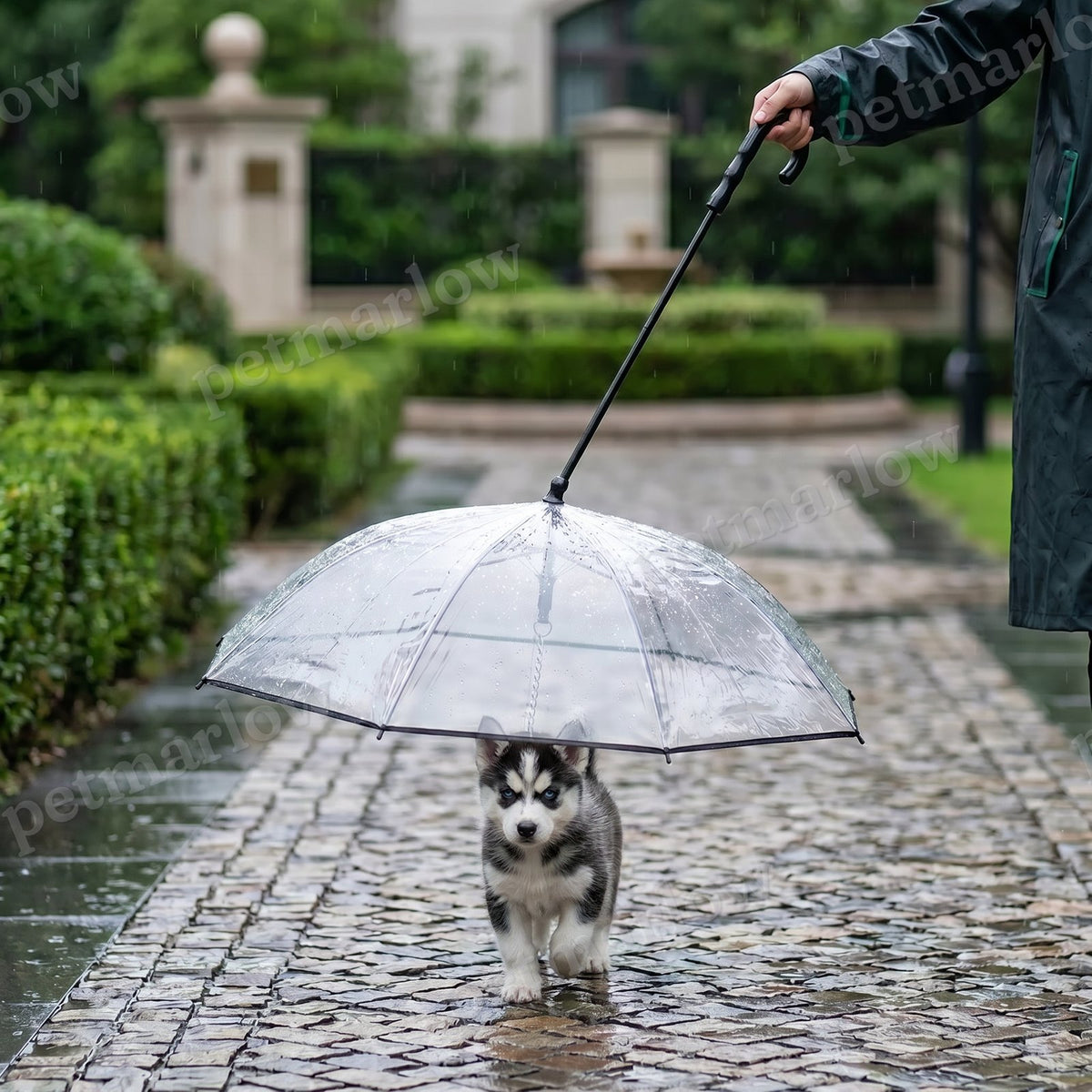 Transparent Dog Umbrella with Leash for Small Dogs – view 2
