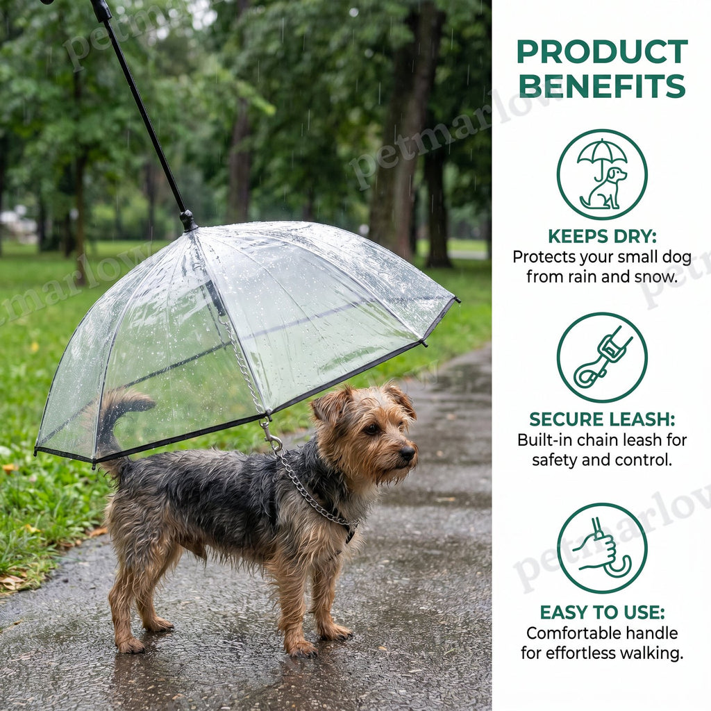 Transparent Dog Umbrella with Leash for Small Dogs – view 3