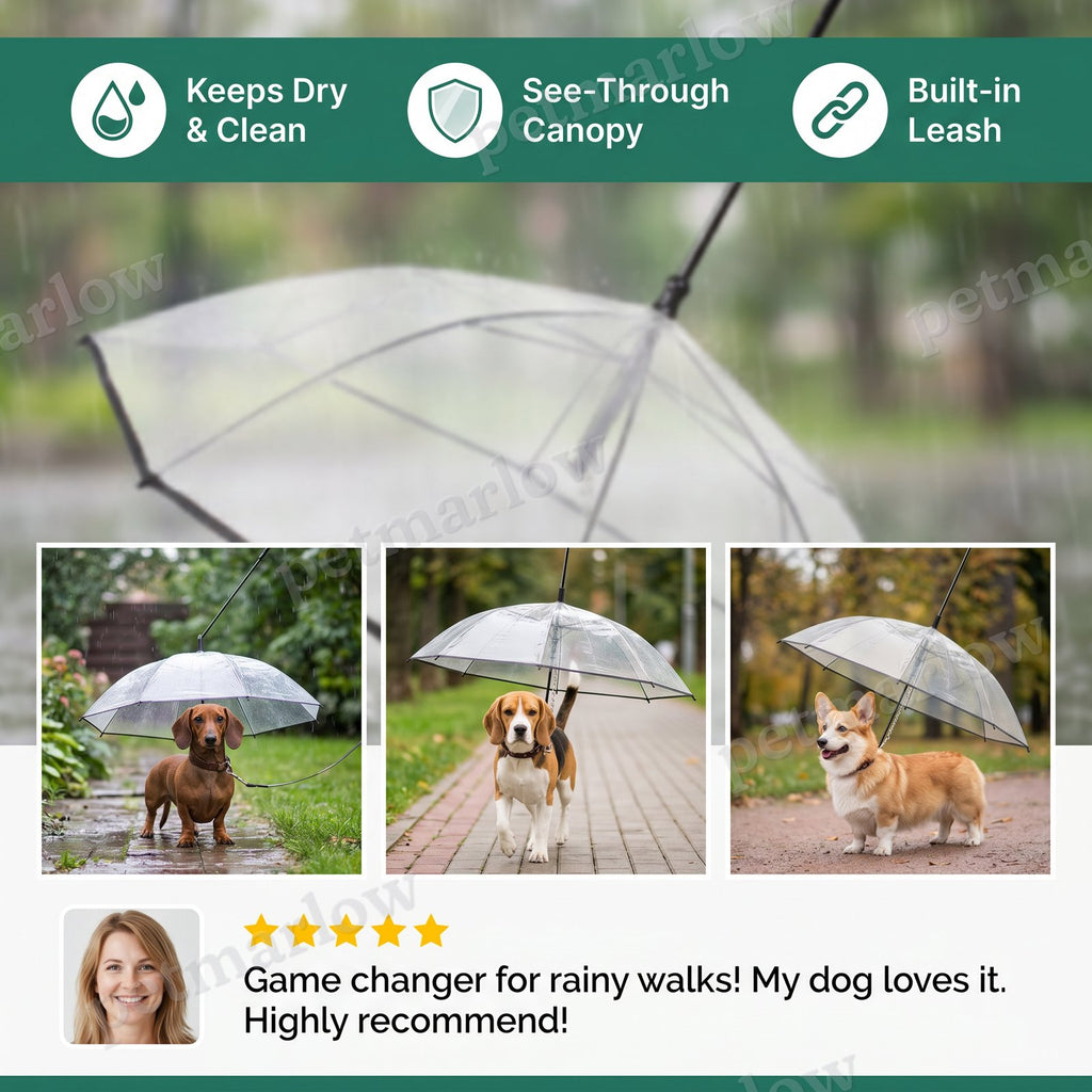 Transparent Dog Umbrella with Leash for Small Dogs – view 4