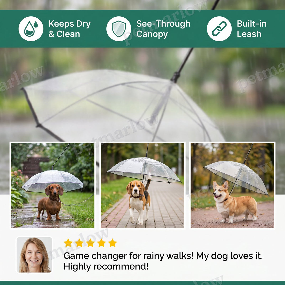 Transparent Dog Umbrella with Leash for Small Dogs – view 4