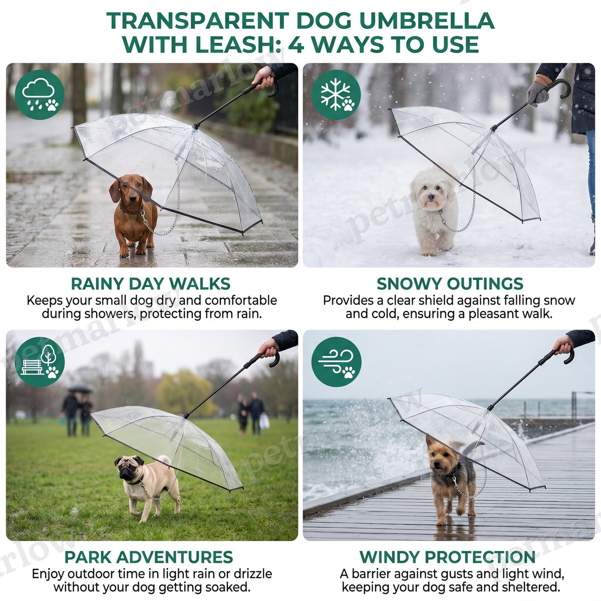 Transparent Dog Umbrella with Leash for Small Dogs – view 5