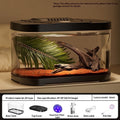 Transparent Plastic Fish Tank And Small Aquarium Decor – Black / Large luxury model