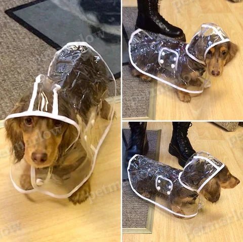 Transparent Waterproof Dog Raincoat – view 6