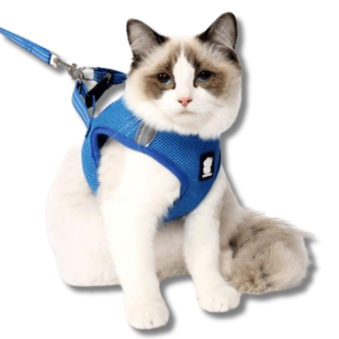 Breathable Mesh Cat Harness And Leash Set