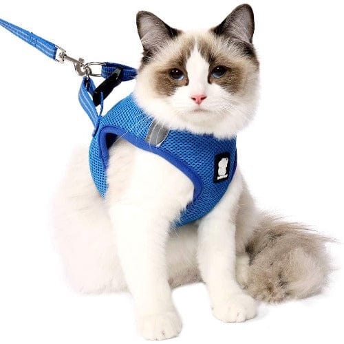 Breathable Mesh Cat Harness And Leash Set – Blue / XS