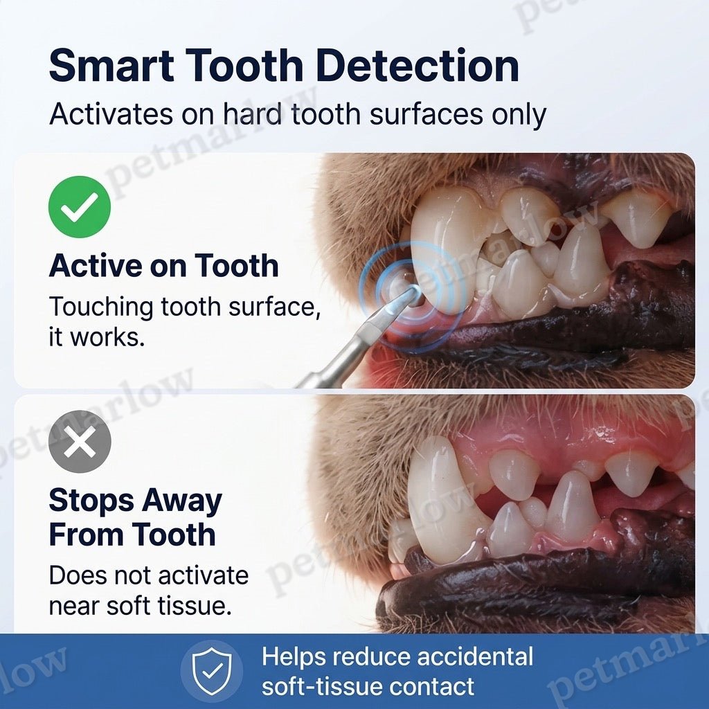 Ultrasonic USB-C Rechargeable Pet Dental Cleaner (IPX7 Waterproof) – view 5