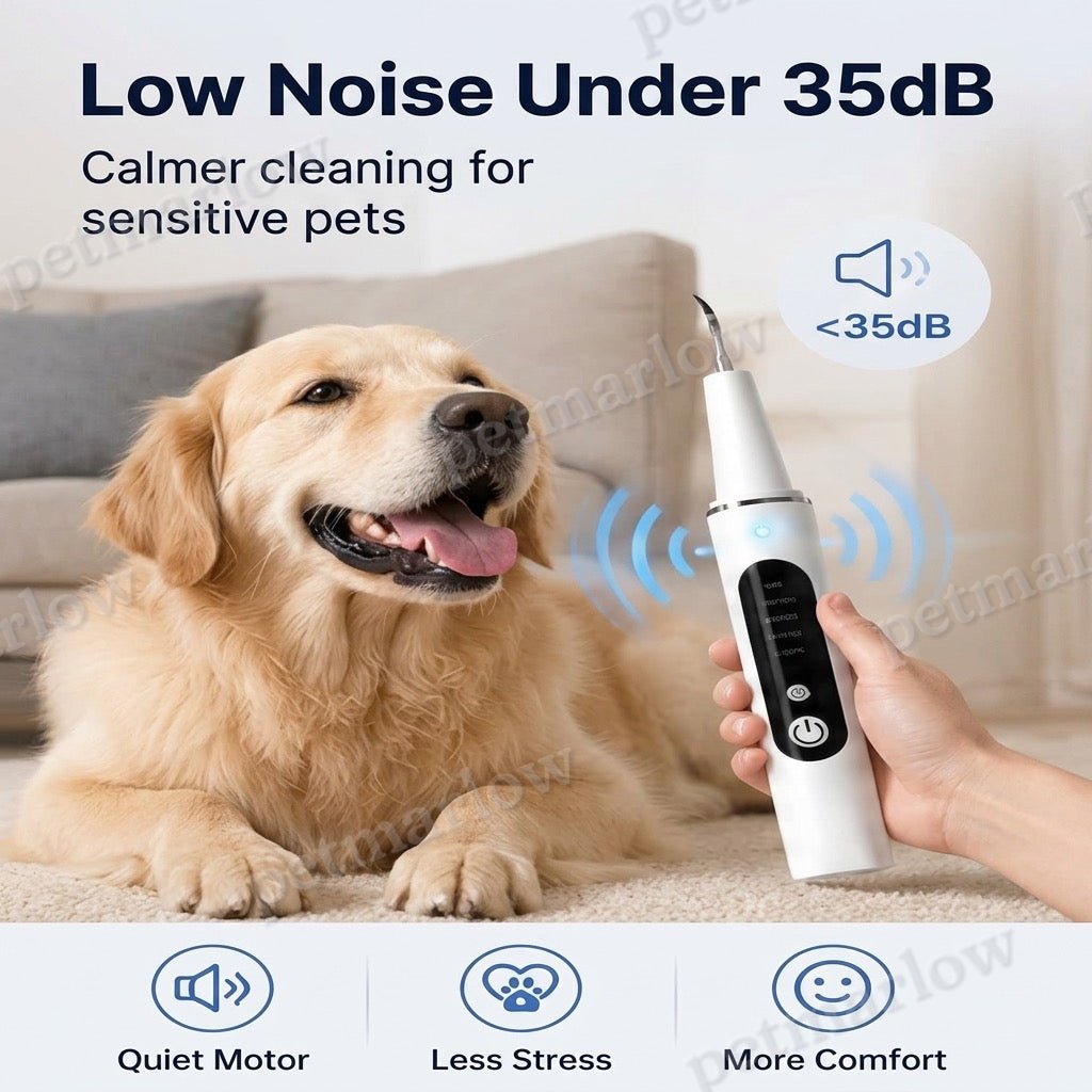 Ultrasonic USB-C Rechargeable Pet Dental Cleaner (IPX7 Waterproof) – view 6