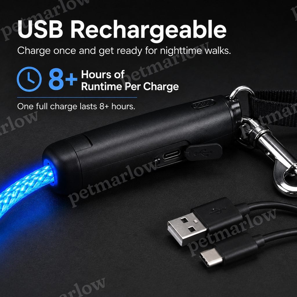 USB-Rechargeable LED Dog Leash (4.9 ft) – view 5