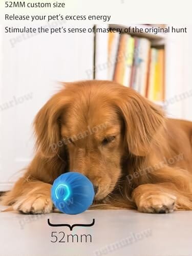 USB Rechargeable Motion-Activated Rolling Toy – view 4