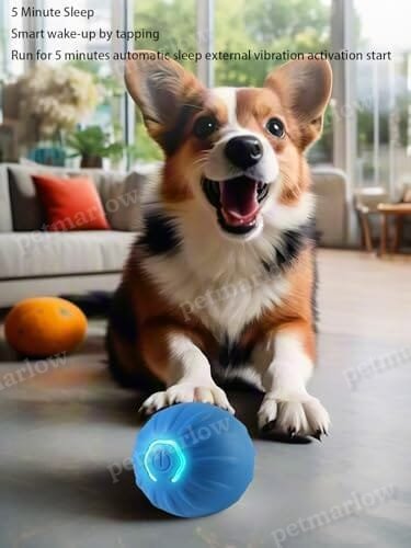 USB Rechargeable Motion-Activated Rolling Toy – view 5
