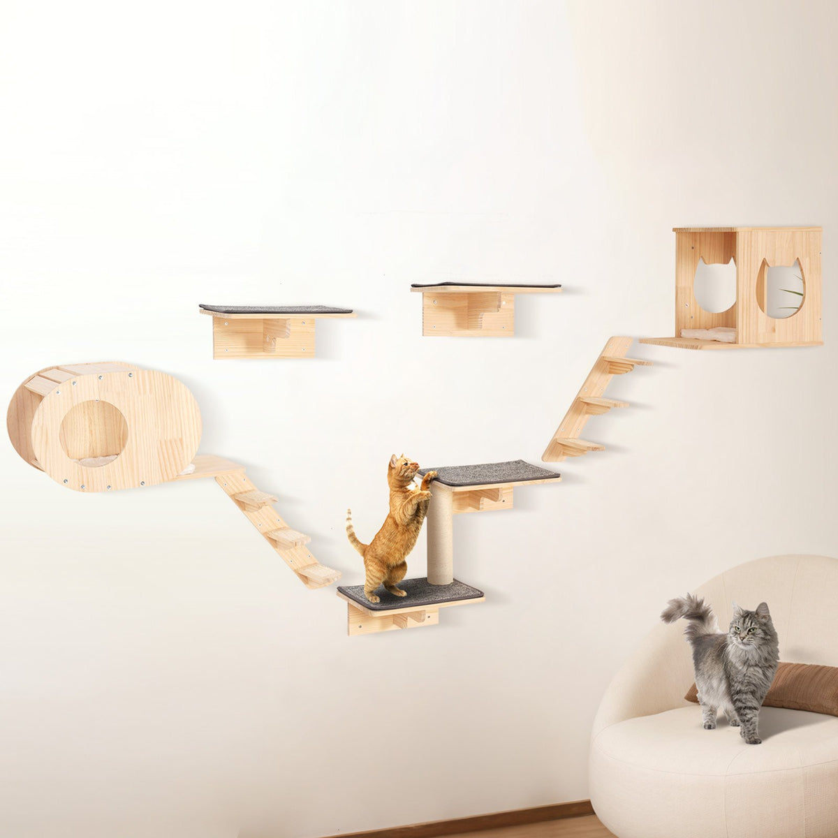 Wall Mounted Cat Shelves Set for Climbing and Playing