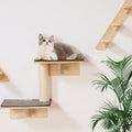 Wall Mounted Cat Shelves Set for Climbing and Playing – Natural