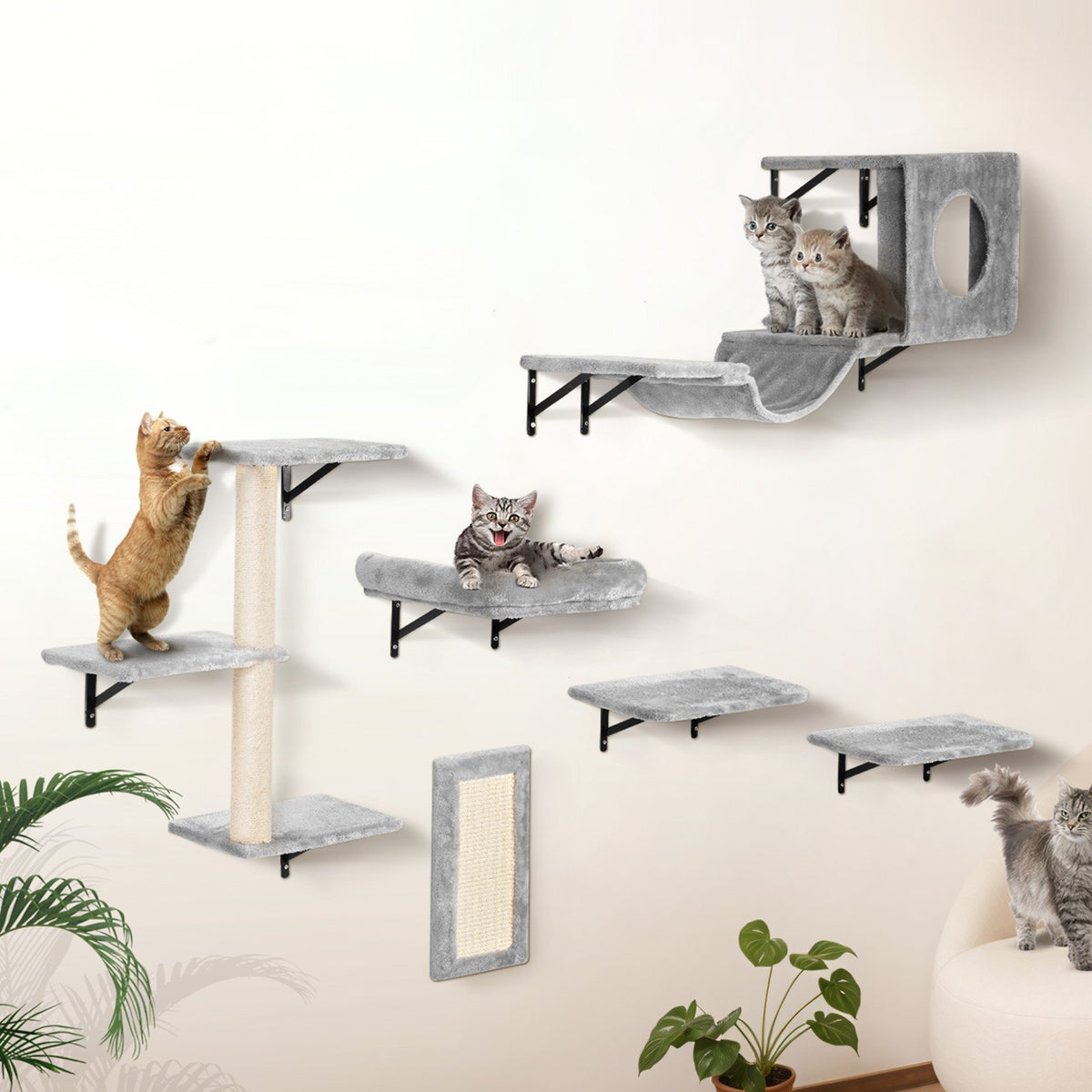 Wall Mounted Cat Shelves Tree with Hammock