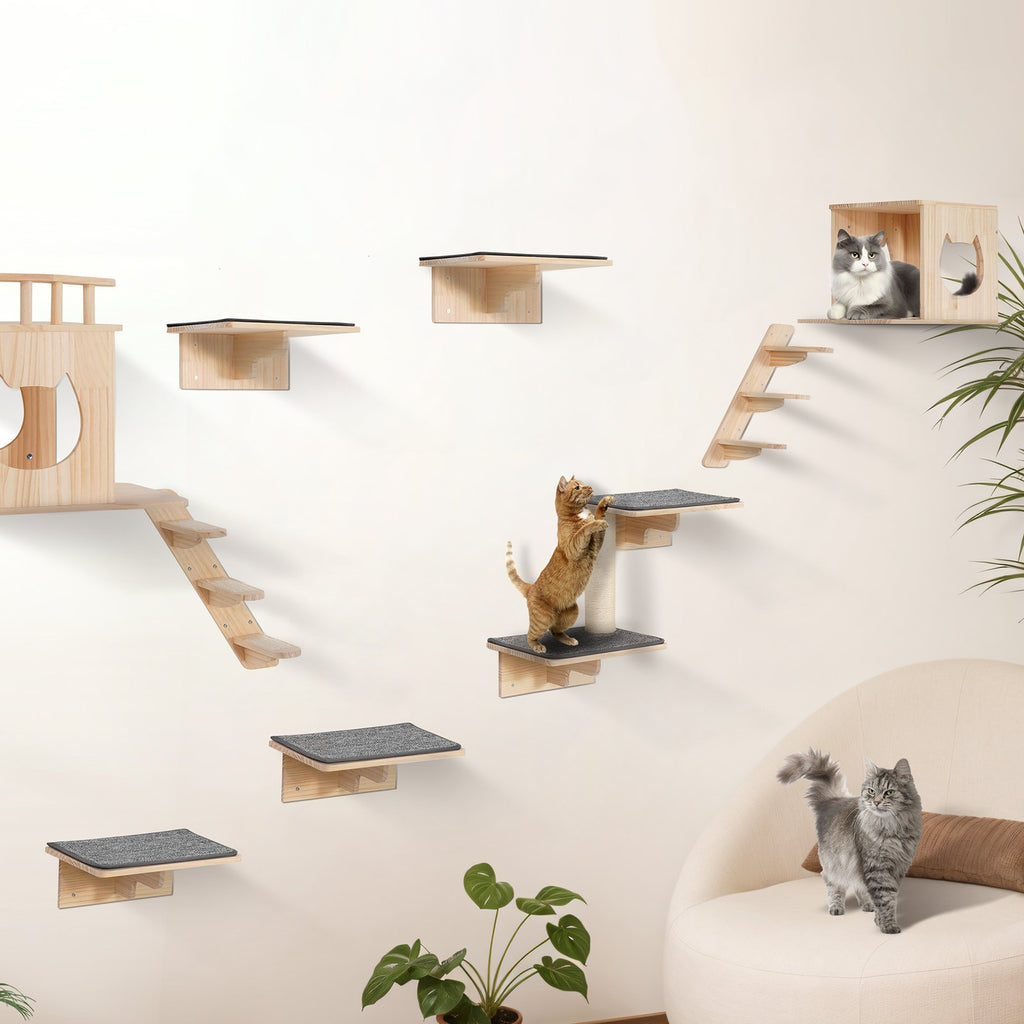Wall Mounted Cat Shelves With Jumping Boards, Nests & Hammocks