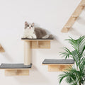 Wall Mounted Cat Shelves With Jumping Boards, Nests & Hammocks – Natural