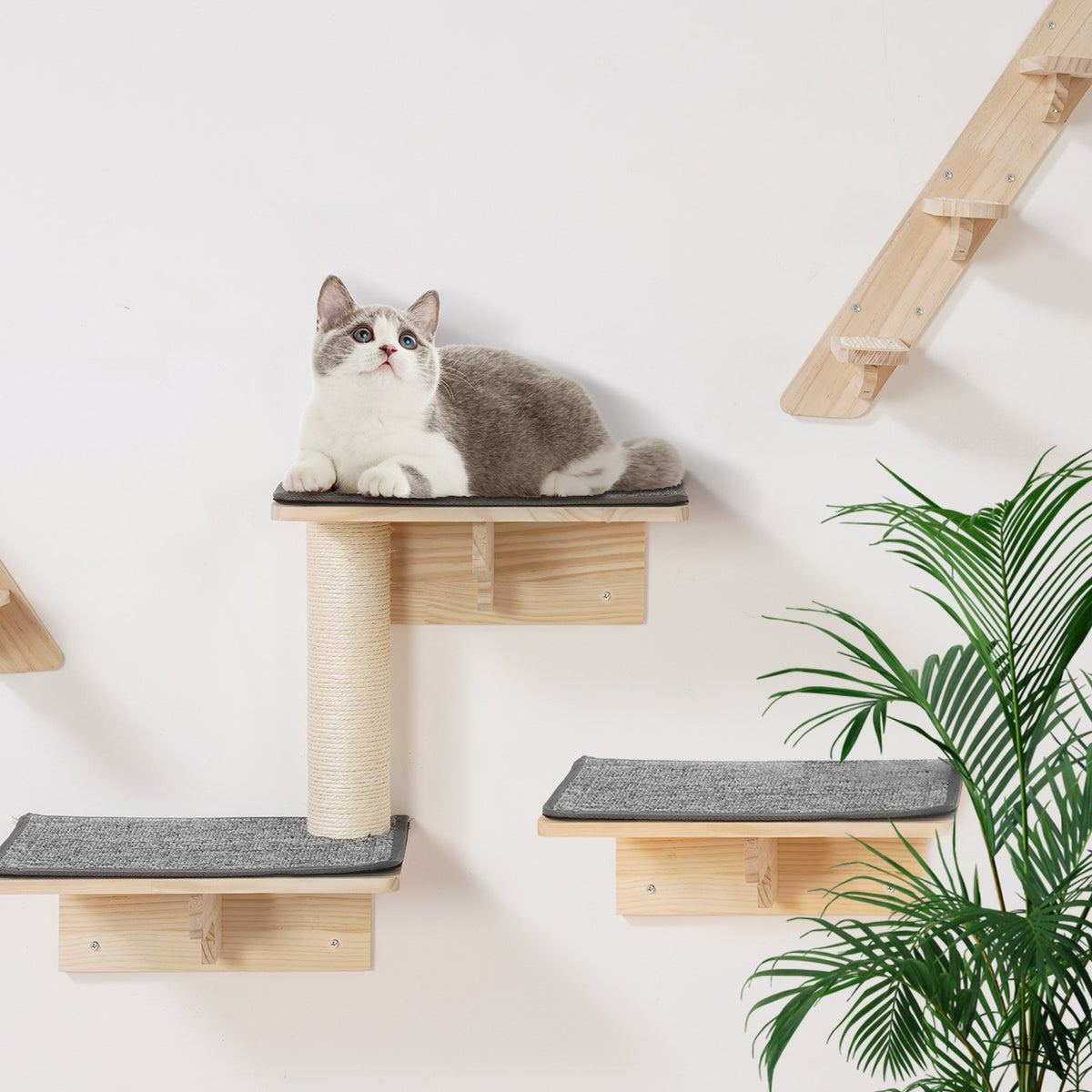 Wall Mounted Cat Shelves With Jumping Boards, Nests & Hammocks – Natural