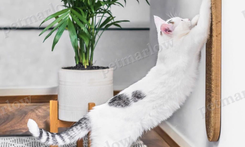 Wall-Mounted Sisal Cat Scratching Mat – view 5