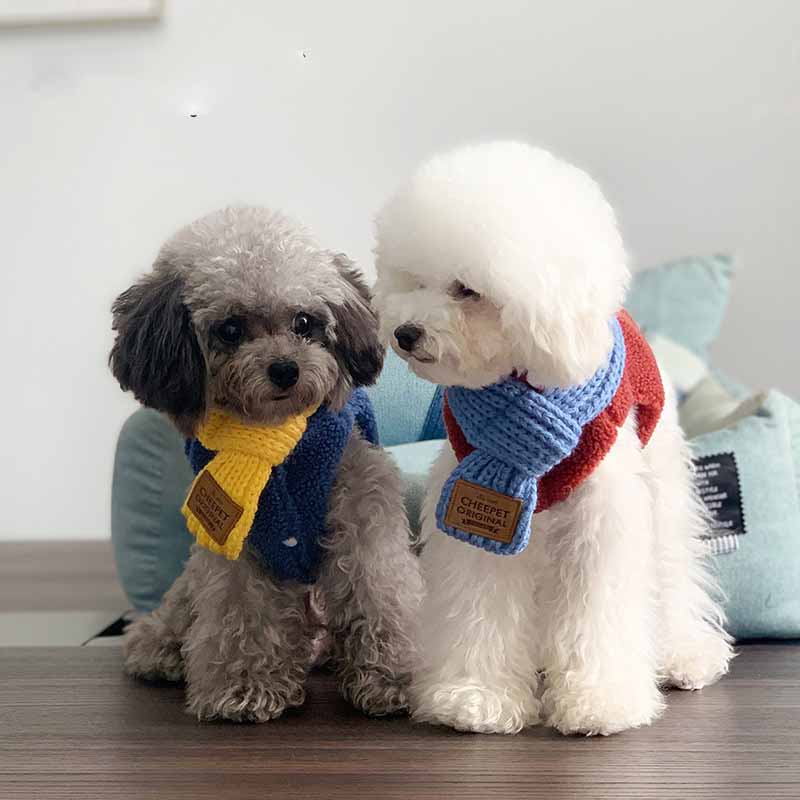 Warm Winter Pet Bandana Collar