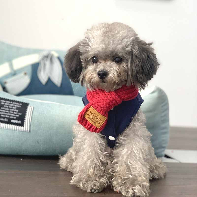 Warm Winter Pet Bandana Collar – Red / S