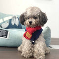 Warm Winter Pet Bandana Collar – Red / S