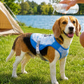 Water-Activated Cooling & Breathable Mesh Dog Vest – Bondi Blue / XS