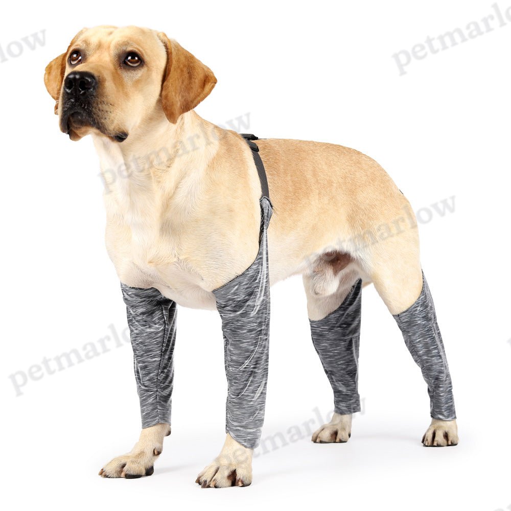 Waterproof Dog Recovery Sleeves for Front and Back Legs – view 5